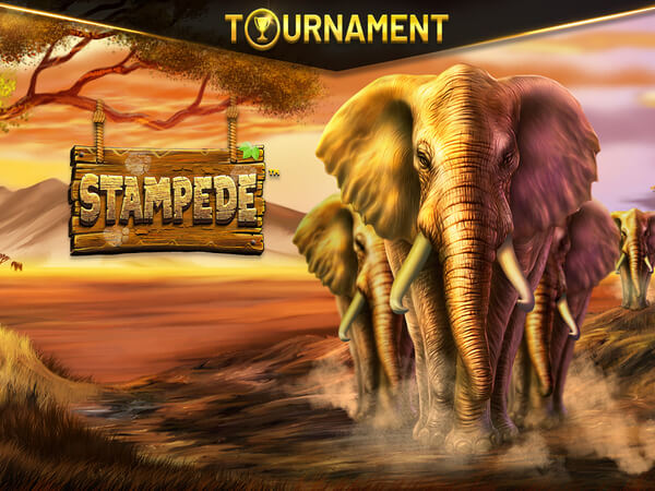 Esporte bet casino